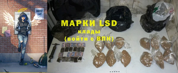 PSILOCYBIN Богородицк